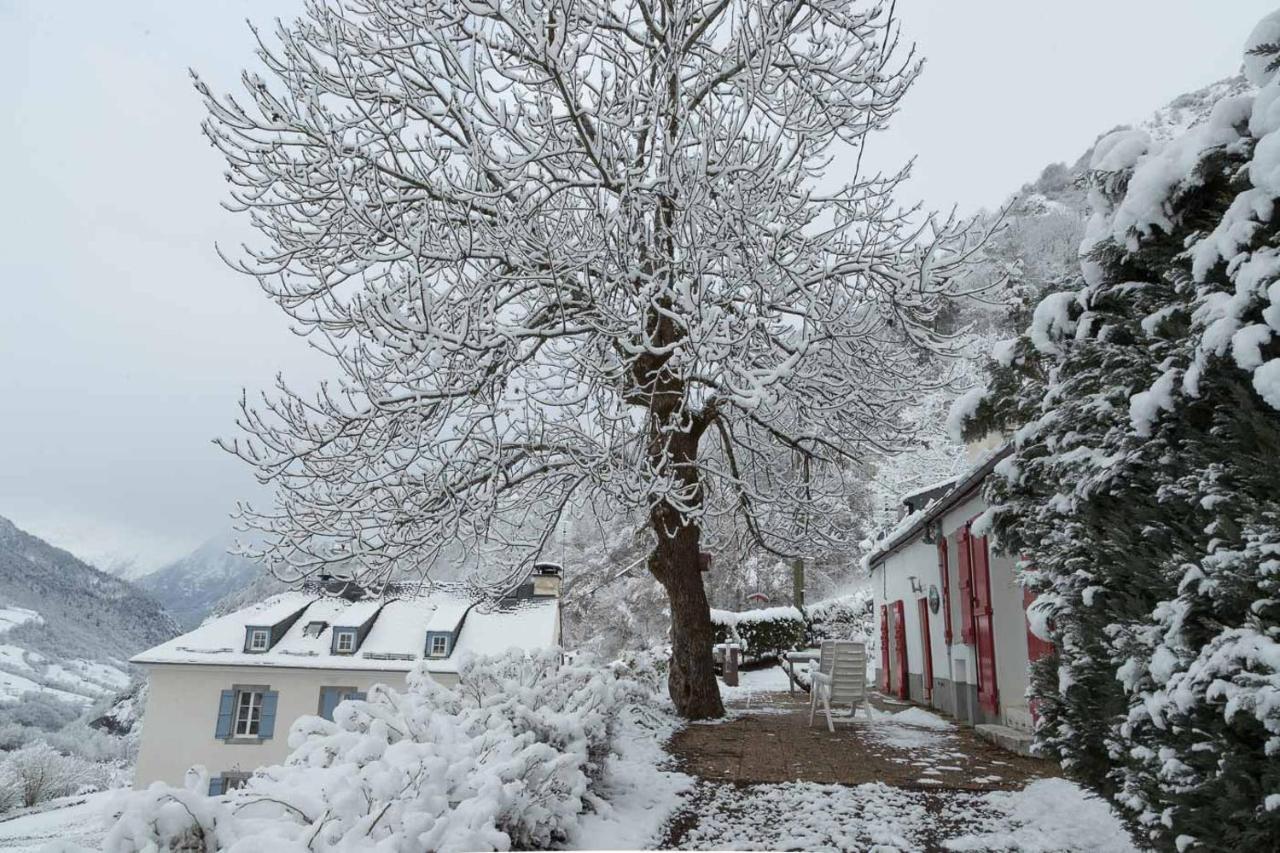 Comfortable Farm House Petit Barzun, In The Parc National Pyrenees Barèges Exterior foto